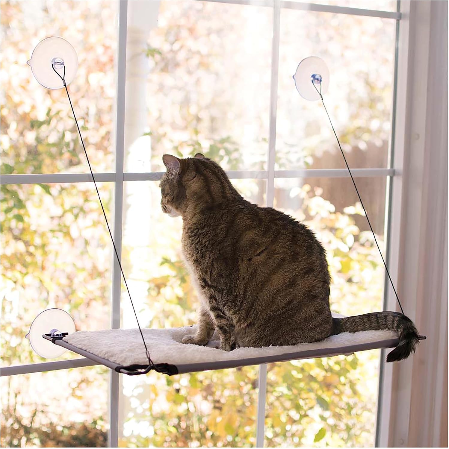 K&H EZ Window Perch