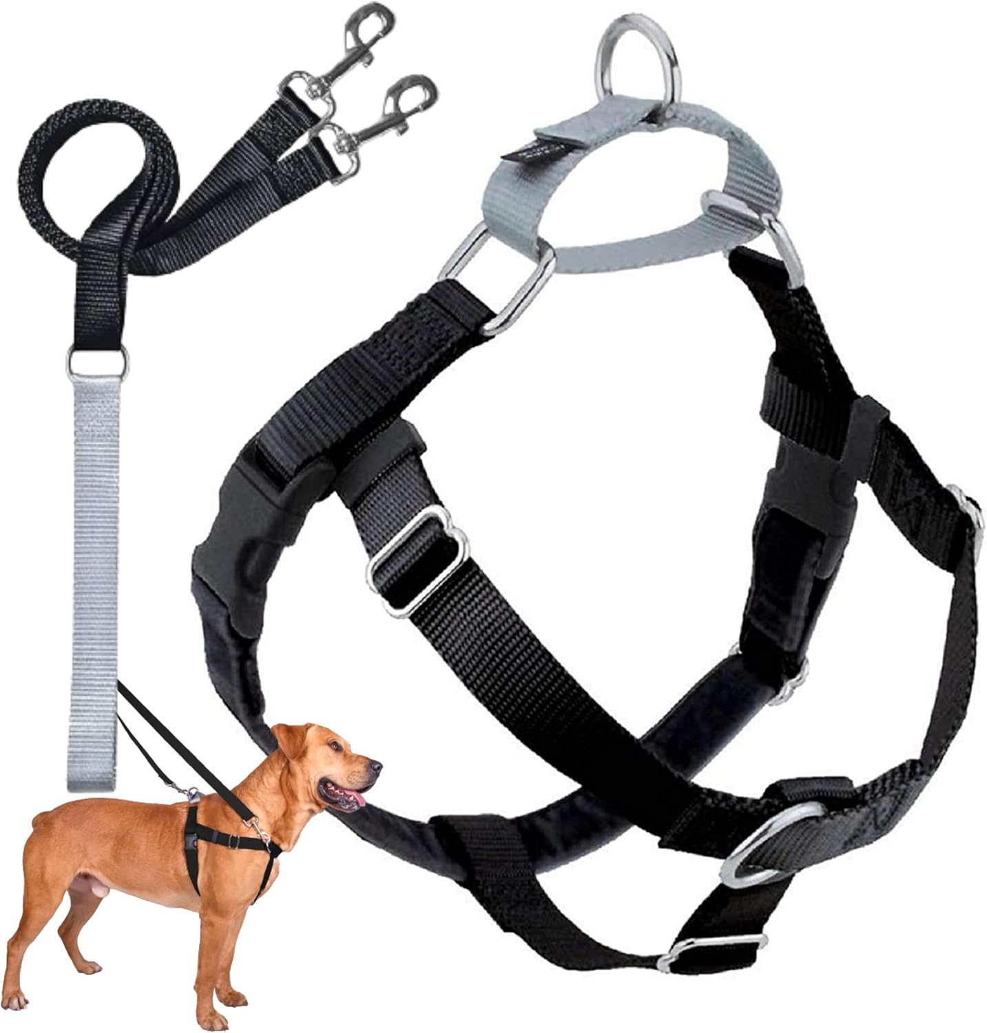 2 Hounds Design Freedom
