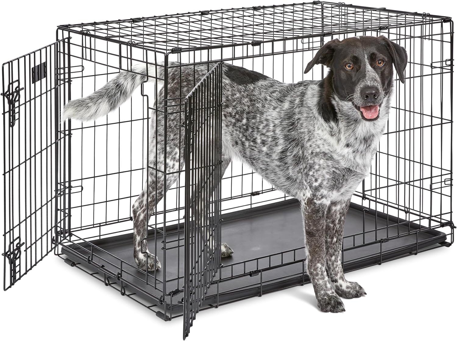 7 Best Dog Crates & Kennels for 2026: Tested for Safety, Comfort & Durability