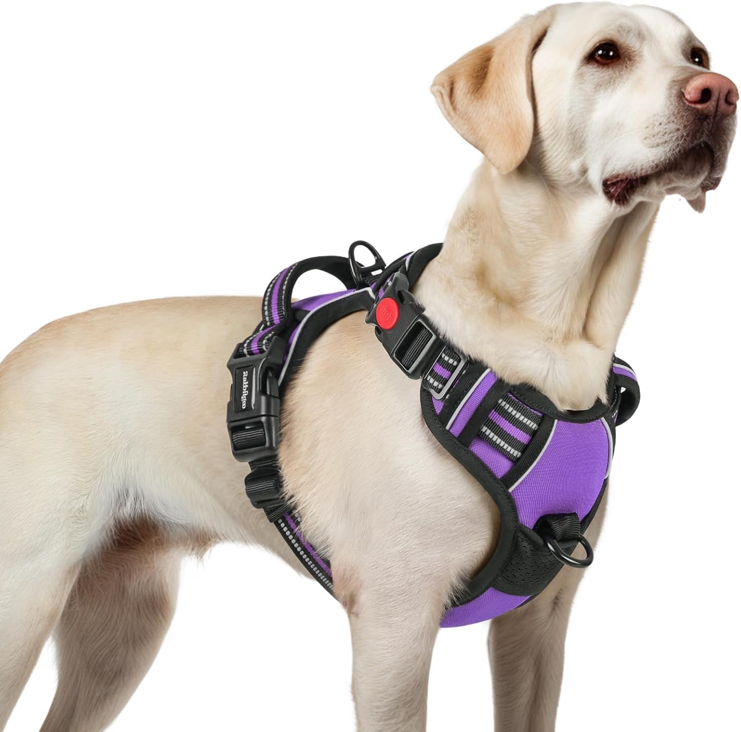 Rabbitgoo No-Pull Harness