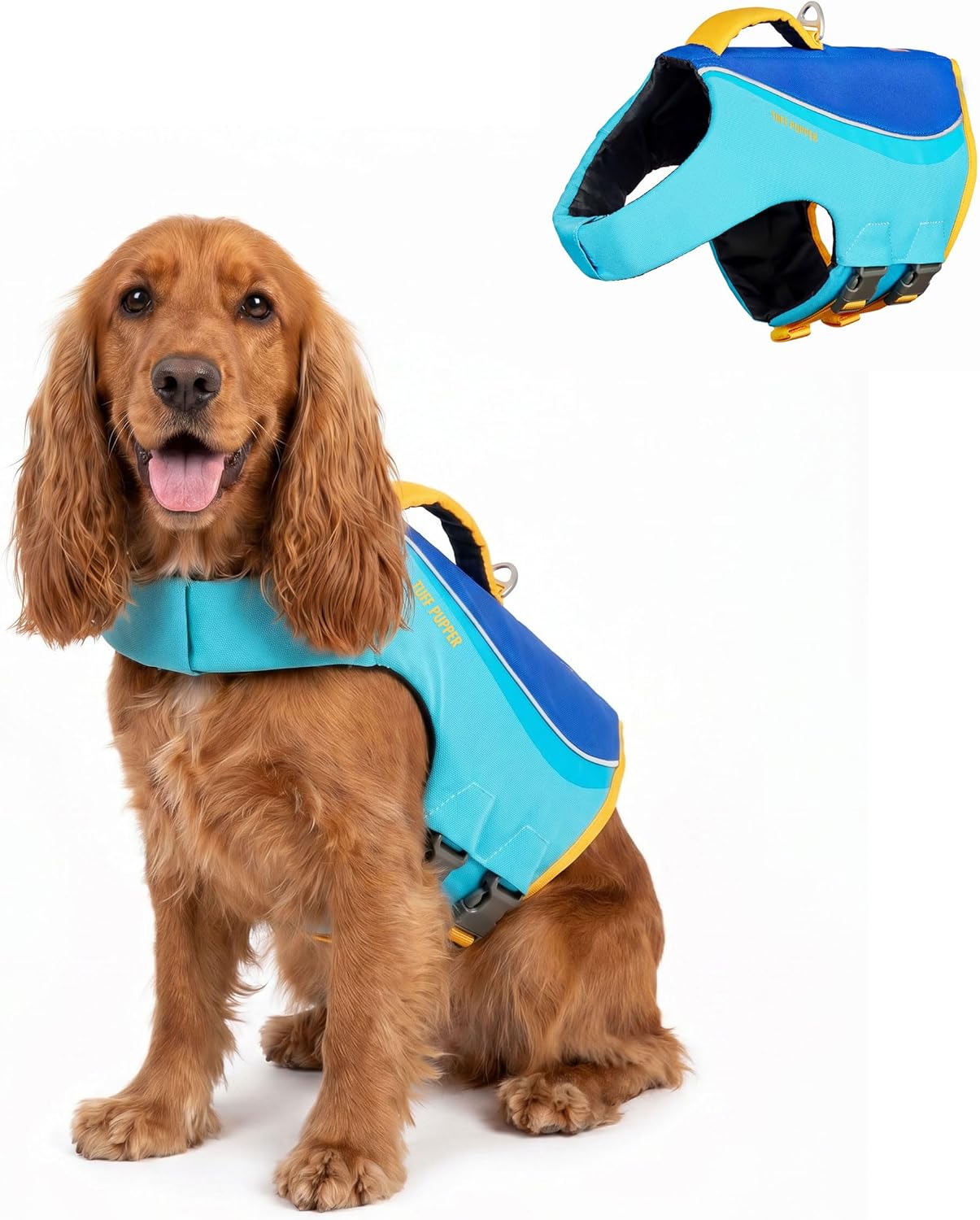 5 Best Dog Life Jackets in 2026: Tested for Safety, Fit & Buoyancy (Summer Ready)