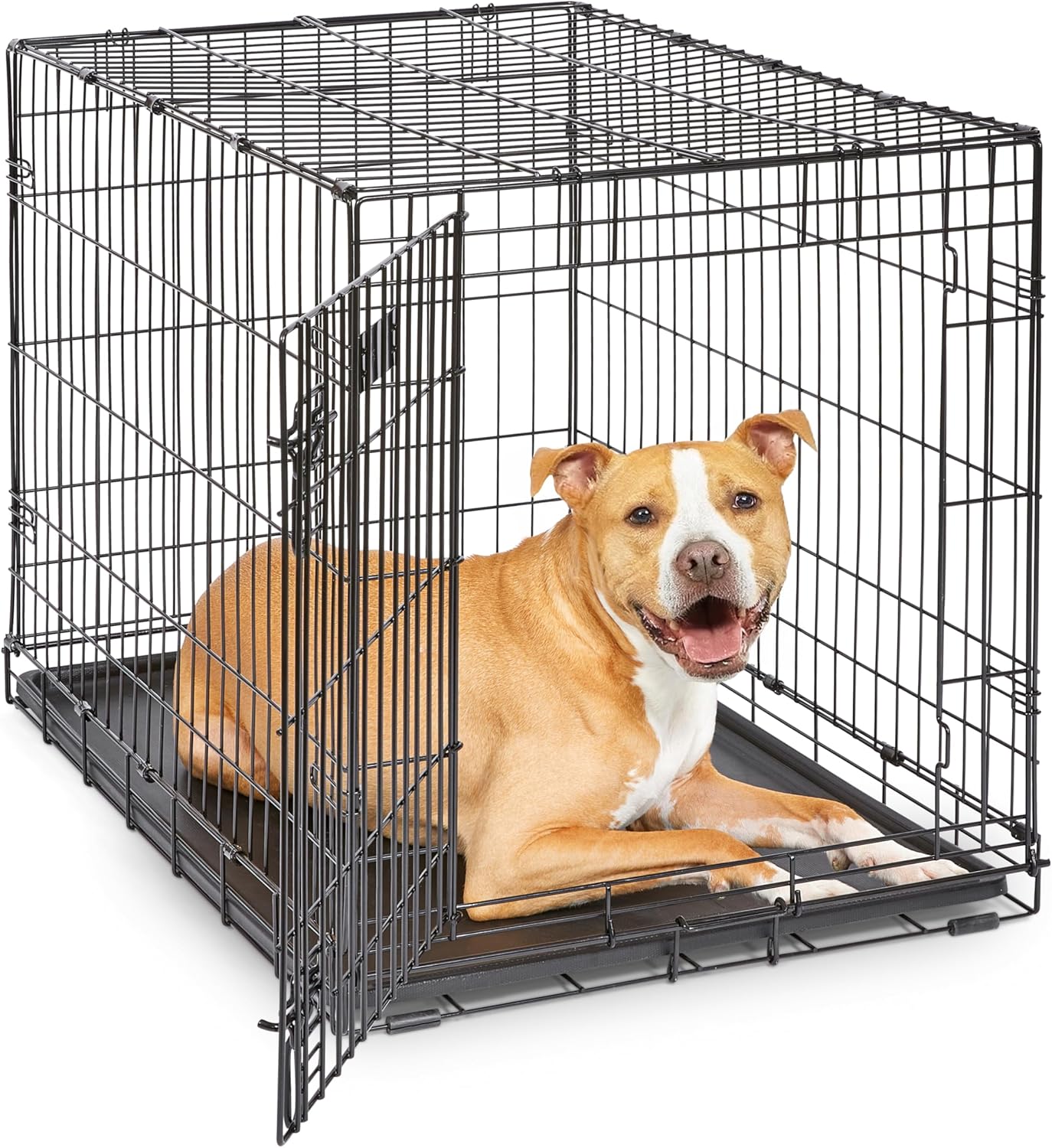 MidWest iCrate Dog Crate